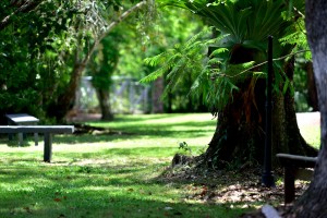 Secluded beautiful gardens idela for wedding photos