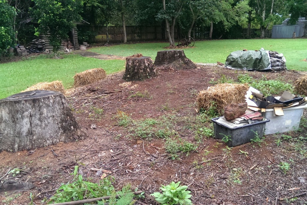 Sustainable Accommodation The No Dig Organic garden before the workshop Maleny Accommodation