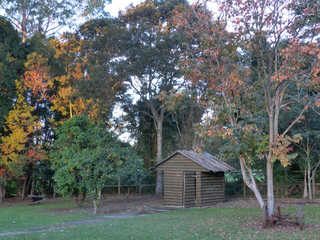 farmstay maleny garden shed