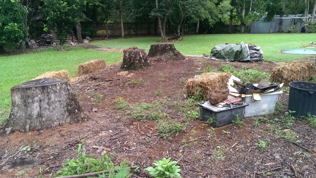 No Dig Garden- Before :Maleny Accommodation