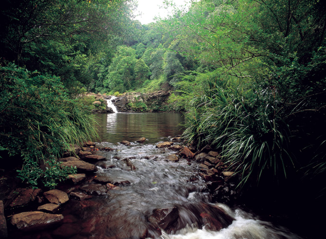 Gardners Falls close to McCarthy Lake House Accommodation In Maleny