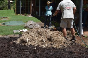 Maleny Sustainable Accommodation Organic No Dig Garden